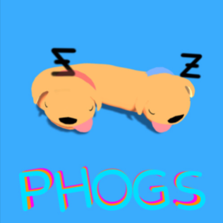 PHOGS (programmer/c#/unity)